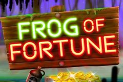 Jogar Frog Of Fortune com Dinheiro Real