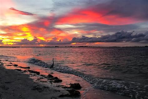 Jogo do cruzeiro em fort myers beach