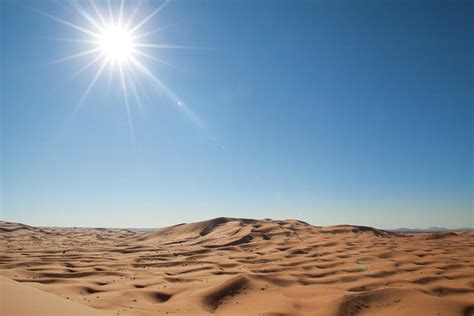 Sahara Sun betsul