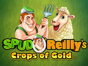Spud O Reilly S Crops Of Gold Review 2024