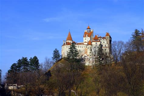 Vlad S Castle Bwin